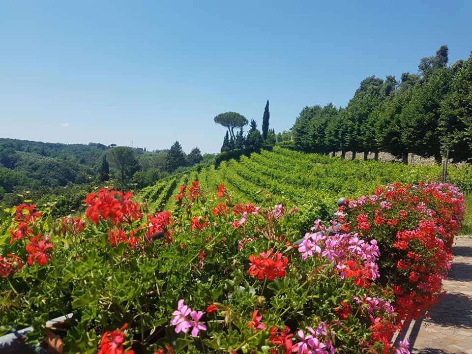Residence Il Vigneto Lari Dış mekan fotoğraf