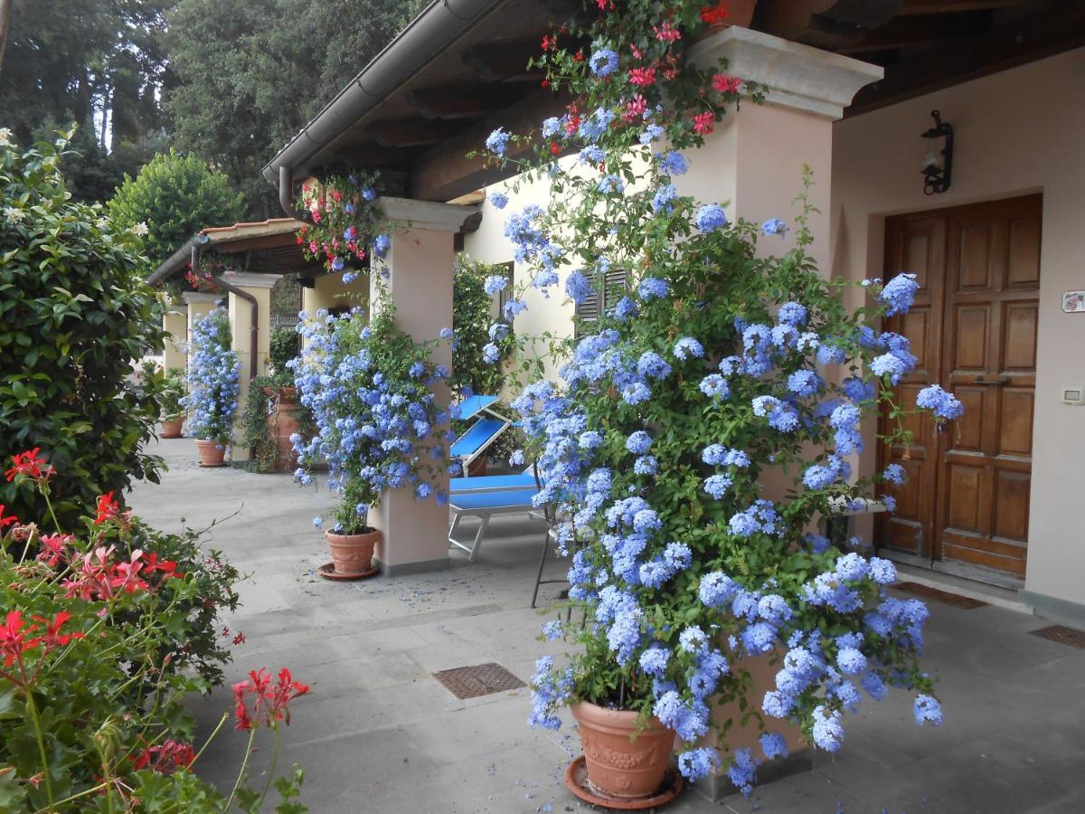 Residence Il Vigneto Lari Dış mekan fotoğraf