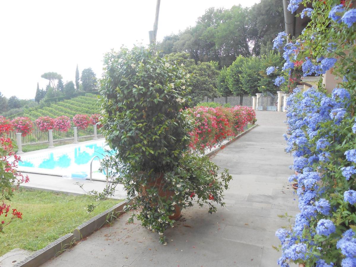 Residence Il Vigneto Lari Dış mekan fotoğraf