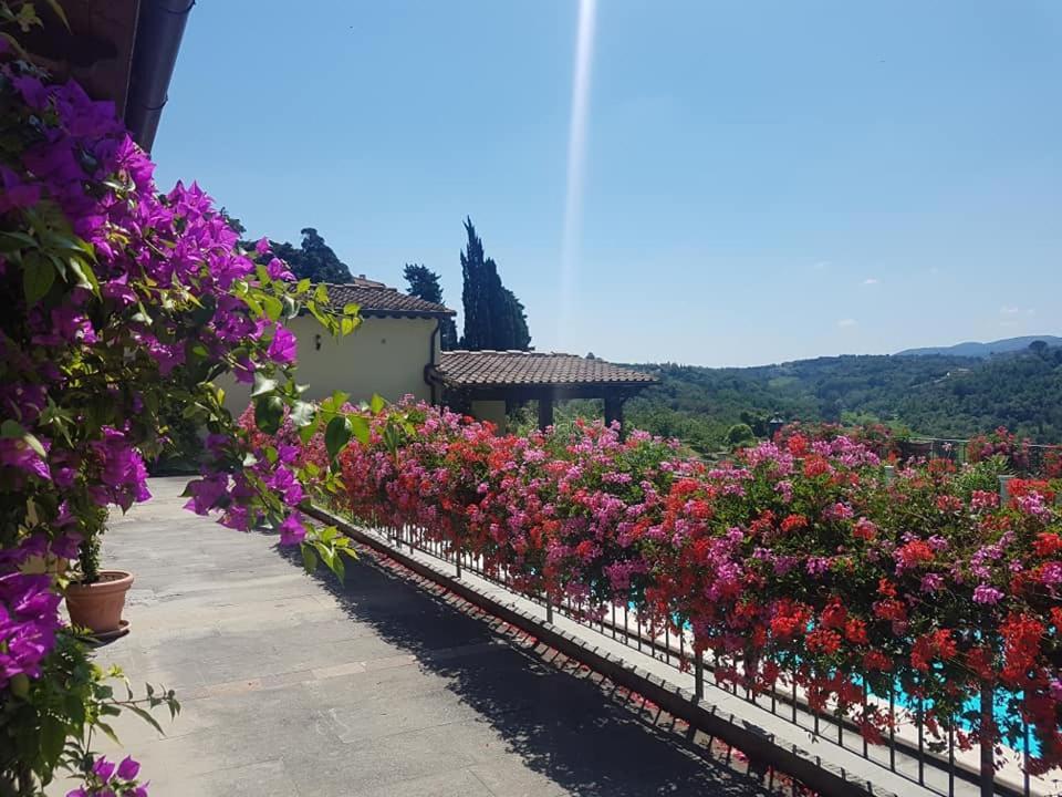 Residence Il Vigneto Lari Dış mekan fotoğraf