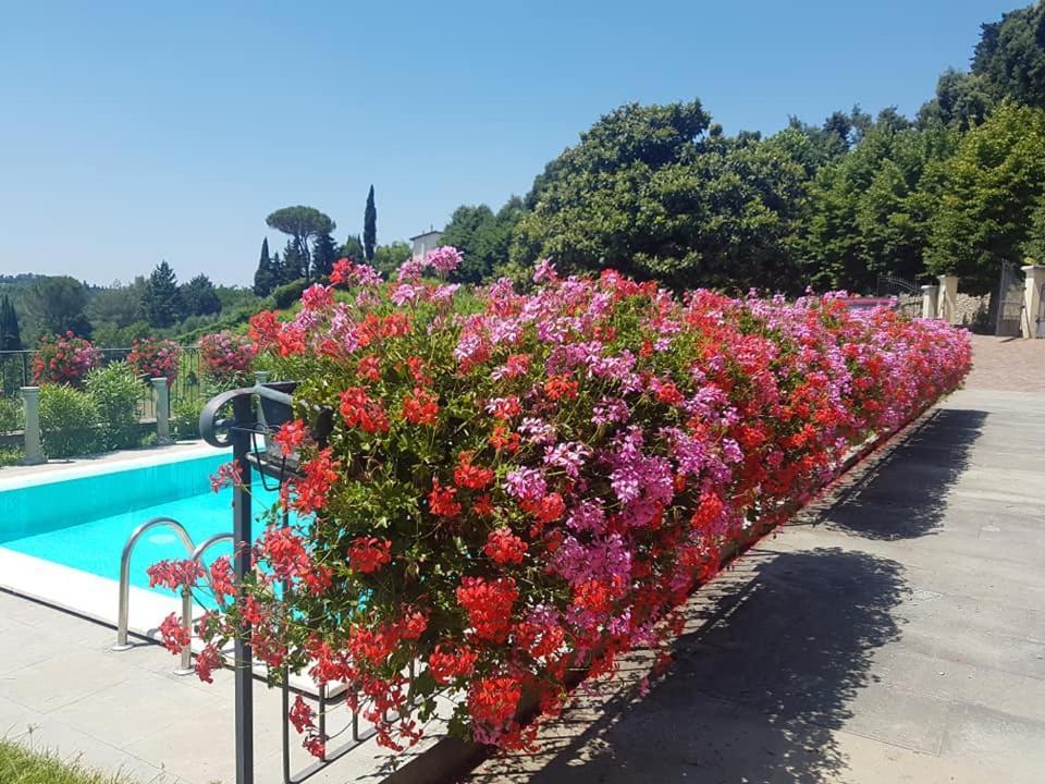 Residence Il Vigneto Lari Dış mekan fotoğraf