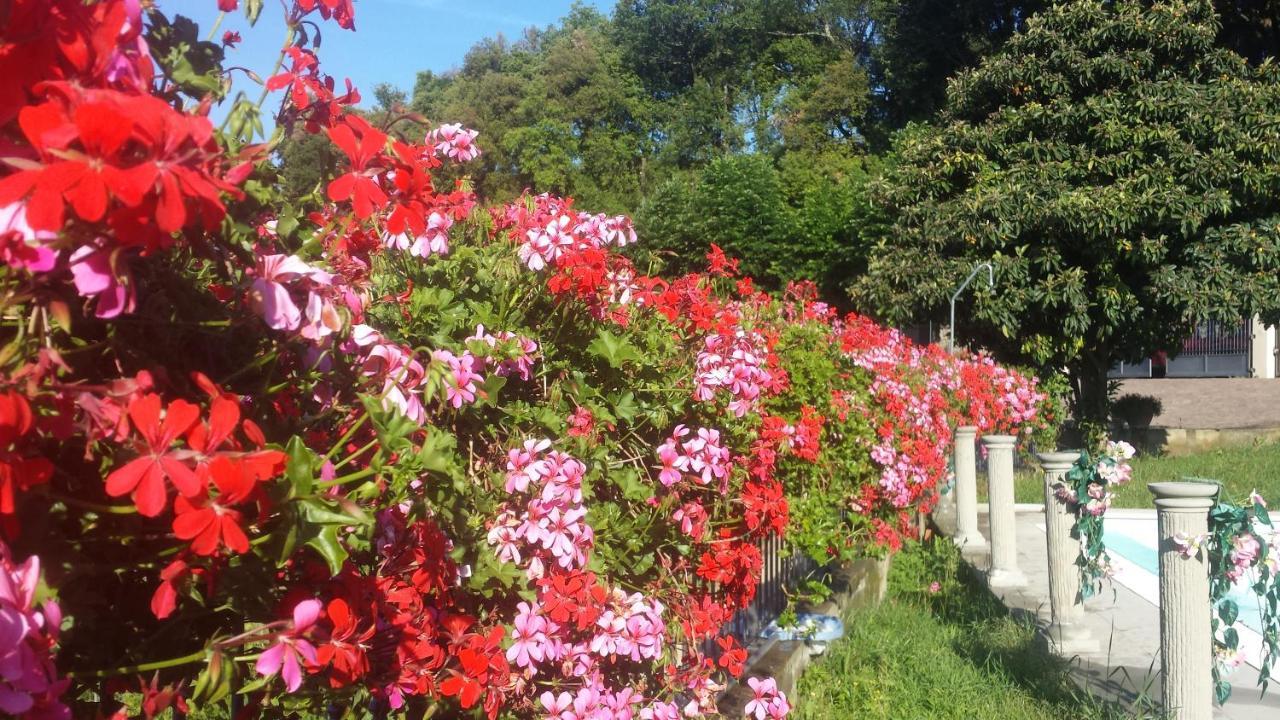 Residence Il Vigneto Lari Dış mekan fotoğraf